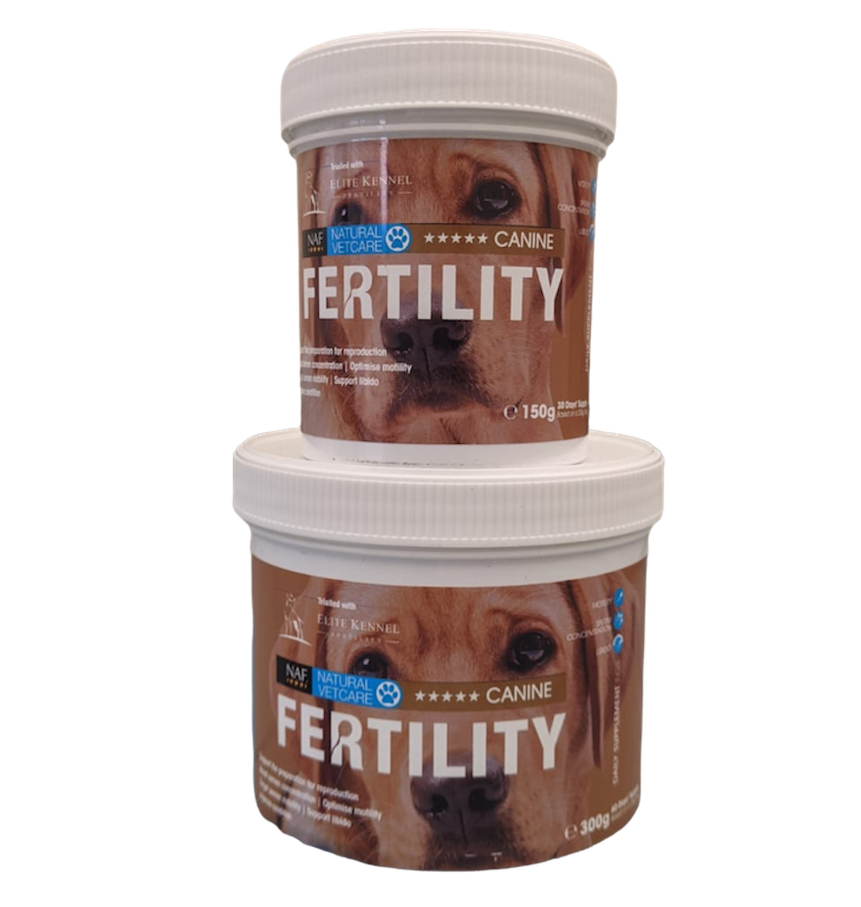 fertility supplement canine stud dog powder sperm increase