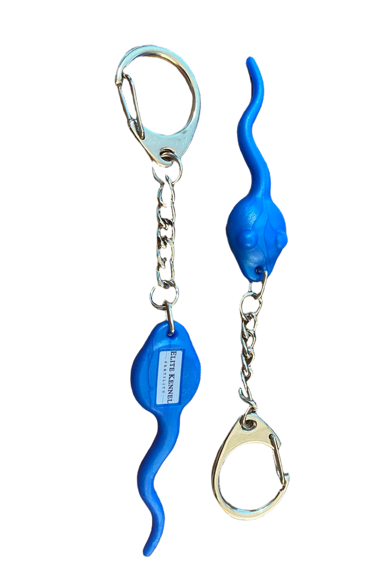 semen key ring frozen semen elite kennel 