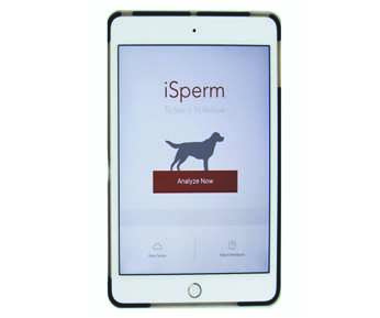 canine dog isperm semen analysis at home in lab portable machine for semen looking at ipad iSperm CASA