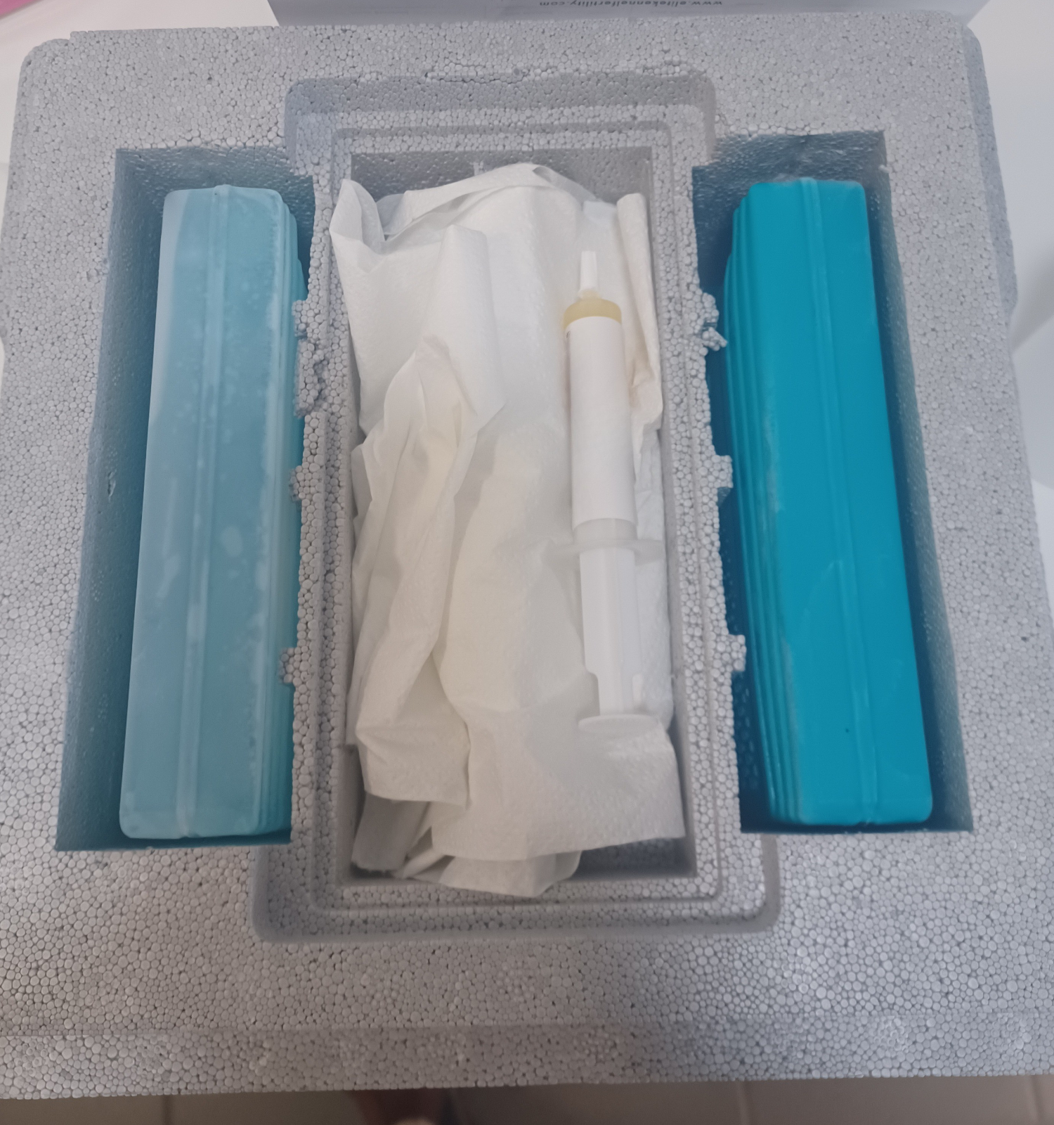 Chilled Semen Collection & Shipping